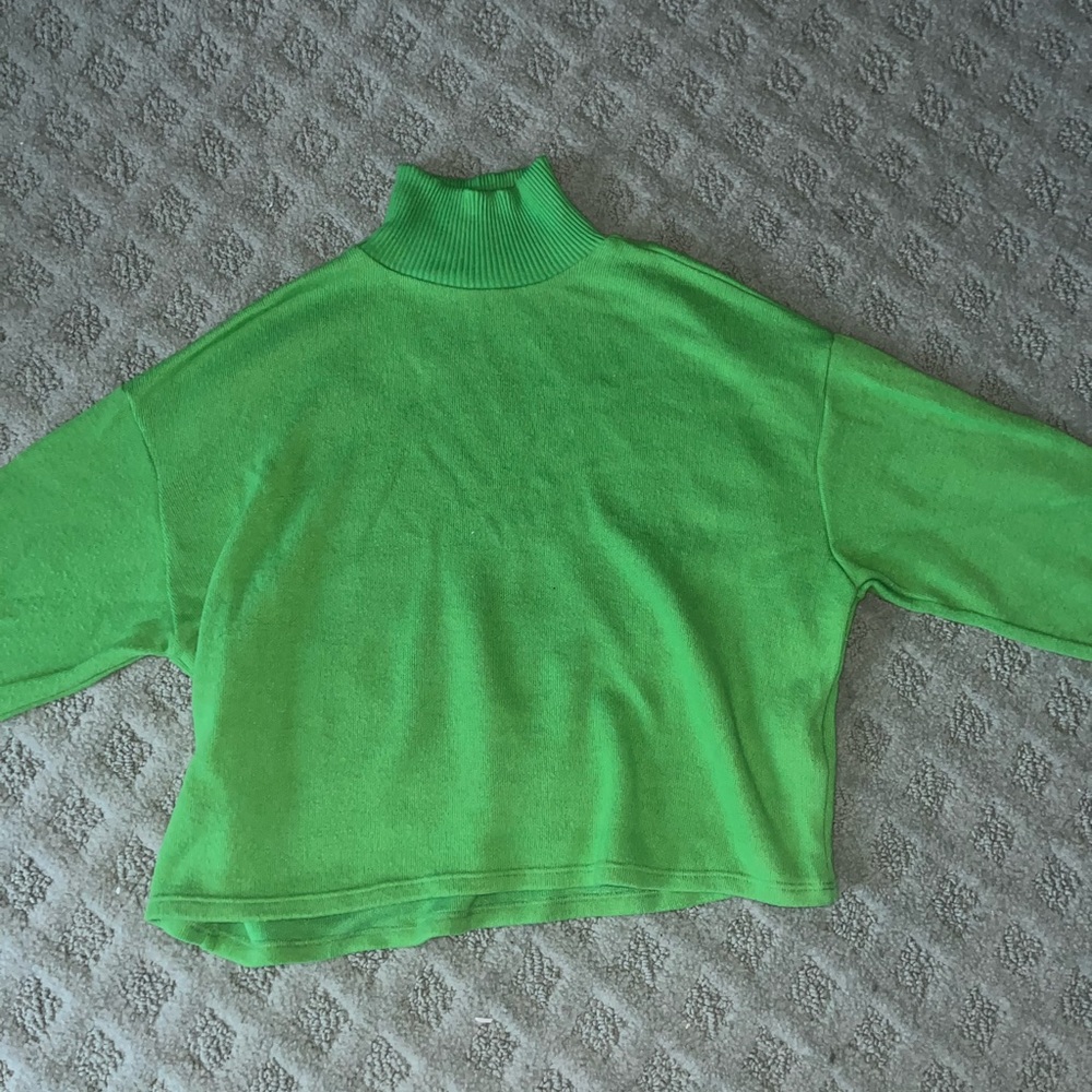 Zara Turtleneck Sweater